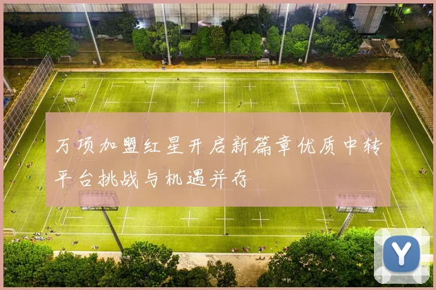 万项加盟红星开启新篇章优质中转平台挑战与机遇并存