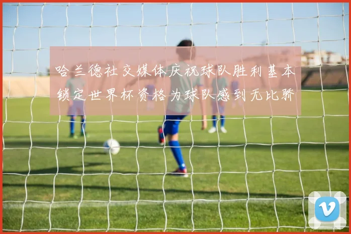 哈兰德社交媒体庆祝球队胜利基本锁定世界杯资格为球队感到无比骄傲