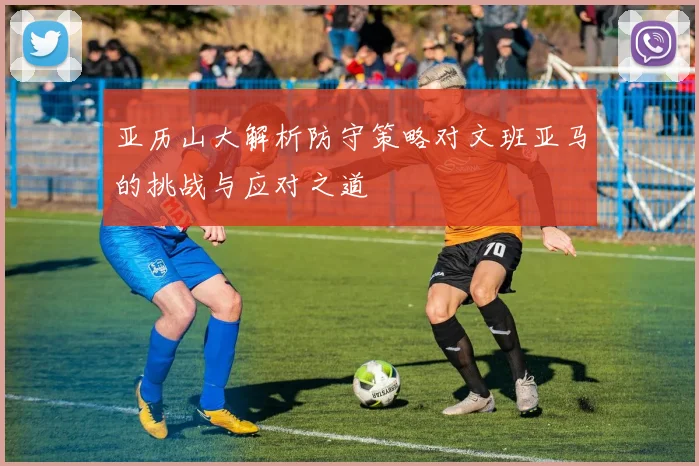 亚历山大解析防守策略对文班亚马的挑战与应对之道