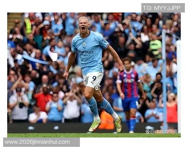 新世纪五大联赛球员连续进球纪录莱万14场领衔哈兰德范尼紧随其后